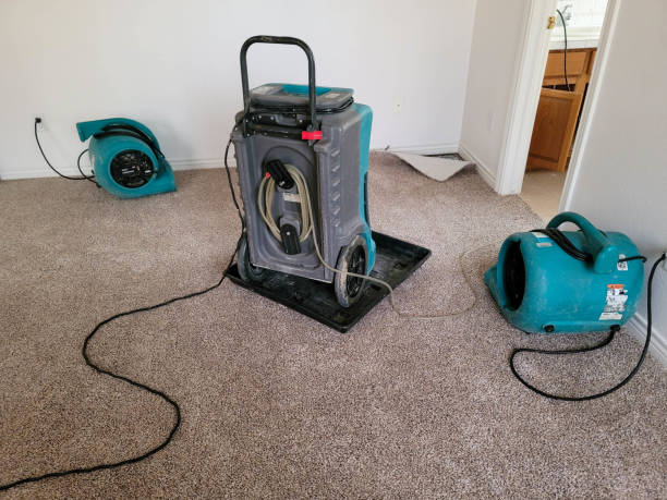 Best Carpet water damage restoration  in Floydada, TX