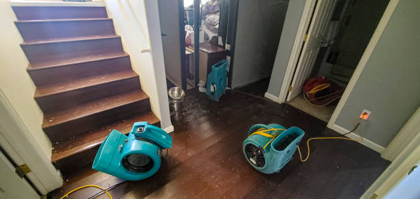 Best Local water damage restoration  in Floydada, TX