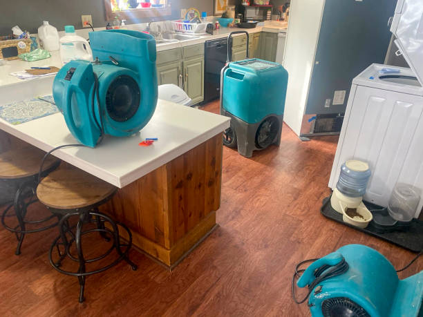 Best Flood damage cleanup  in Floydada, TX