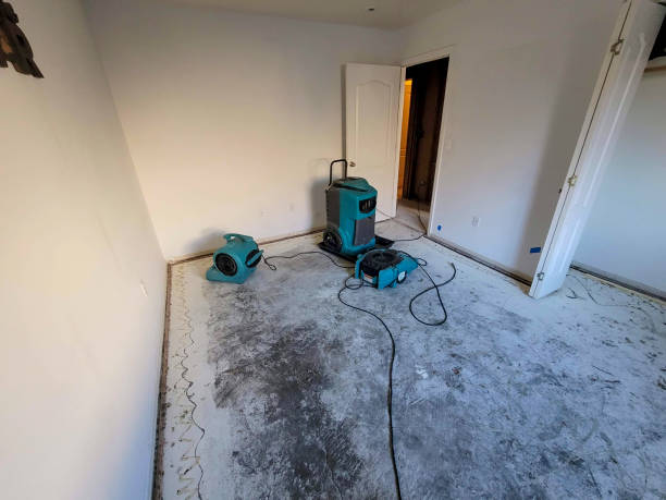 Best Water damage restoration process  in Floydada, TX