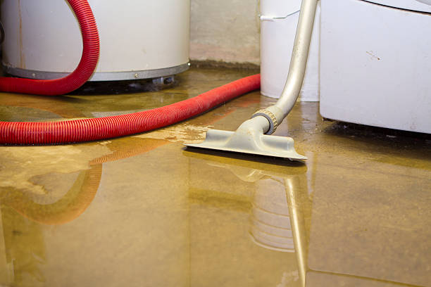 Best Water damage restoration process  in Floydada, TX