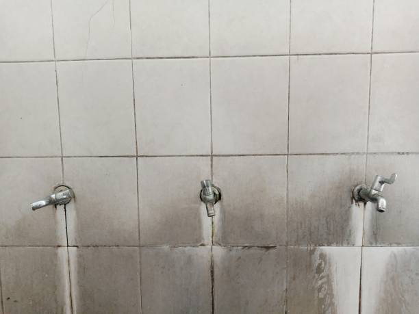 Best Water damage restoration company  in Floydada, TX
