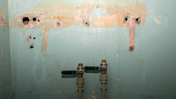 Best 24-hour water damage restoration  in Floydada, TX