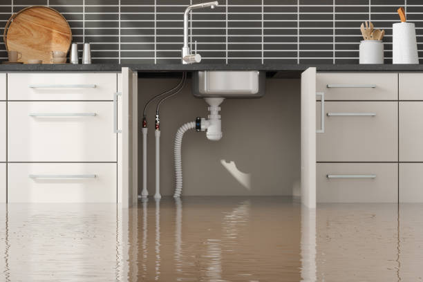 Best Professional water damage repair  in Floydada, TX