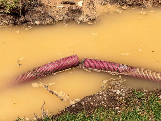 Best 24/7 water damage repair  in Floydada, TX